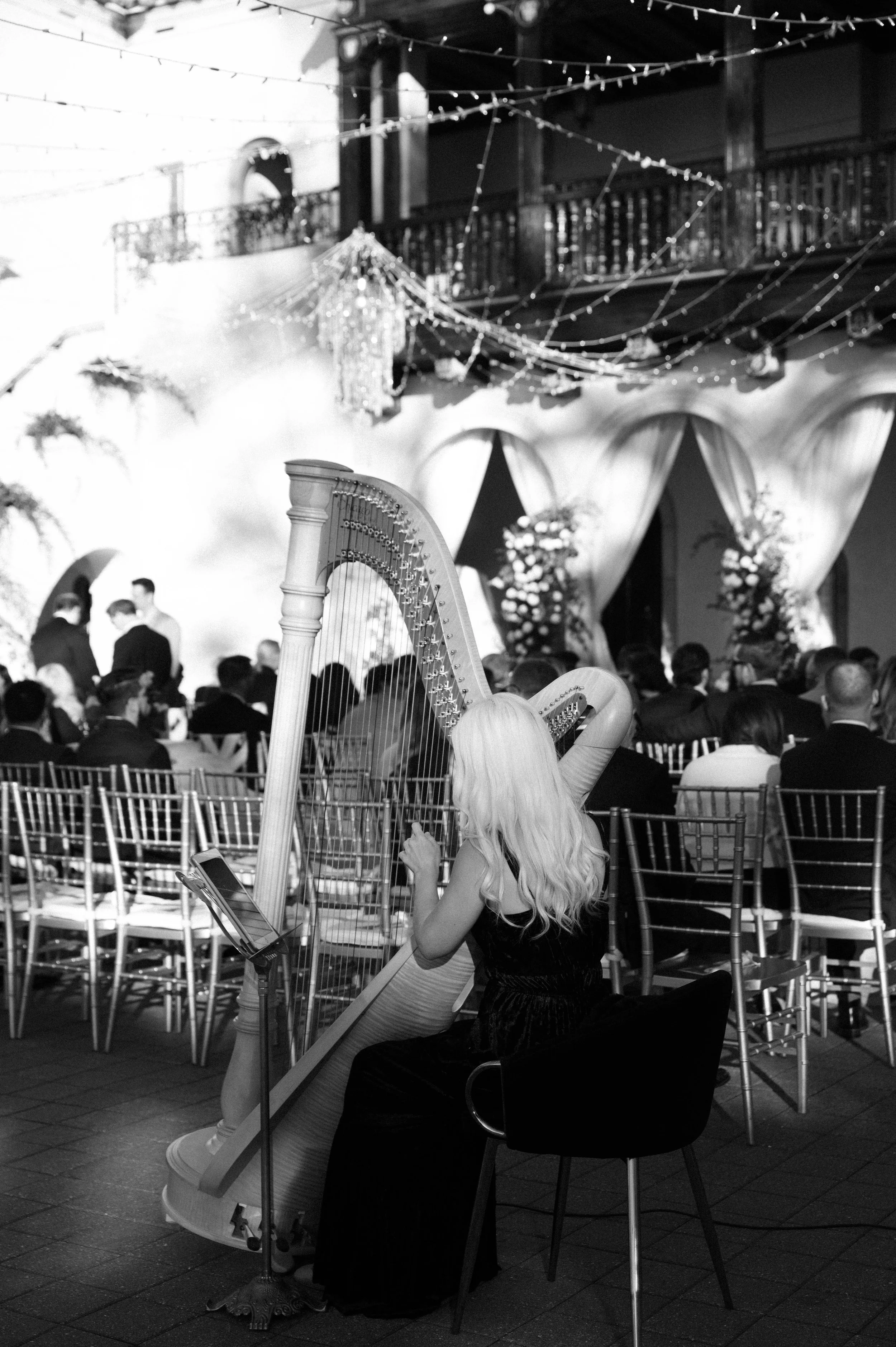 Tiffany Maysonet Photo - VOLPI-2.jpg