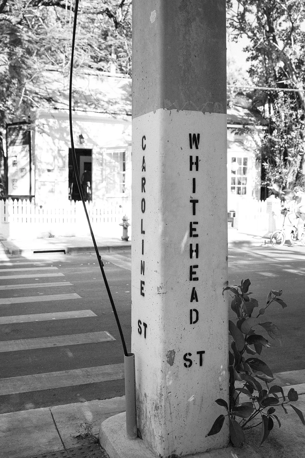 Tiffany Maysonet Photo-20.jpg