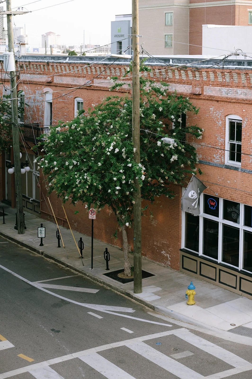 Tiffany Maysonet Photo-93.jpg