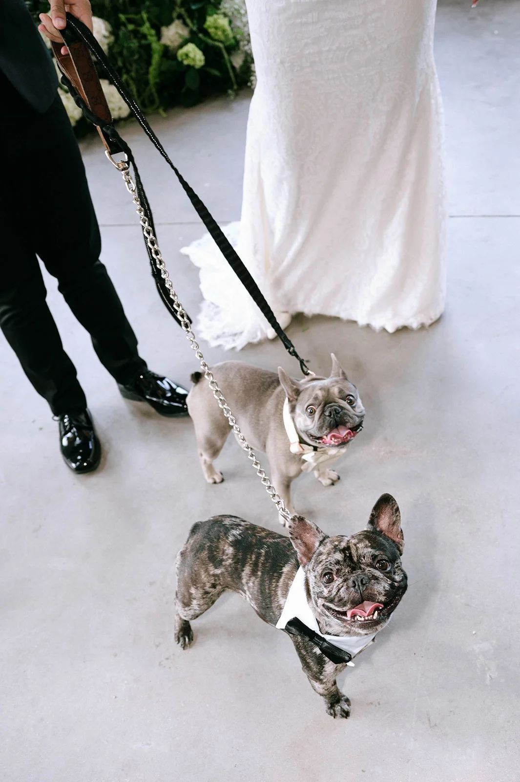 Tiffany Maysonet Photo-54.jpg