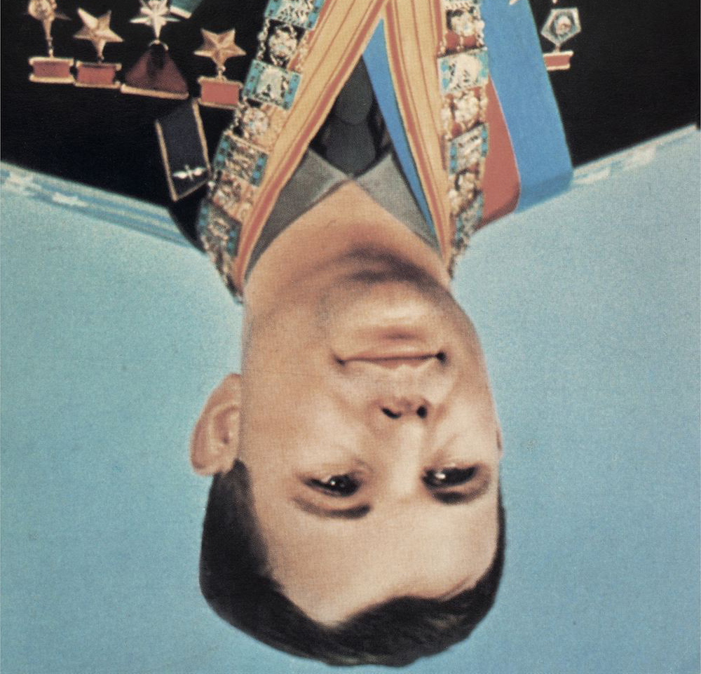Gordon Shrigley | Project for an Unidentified Political Object