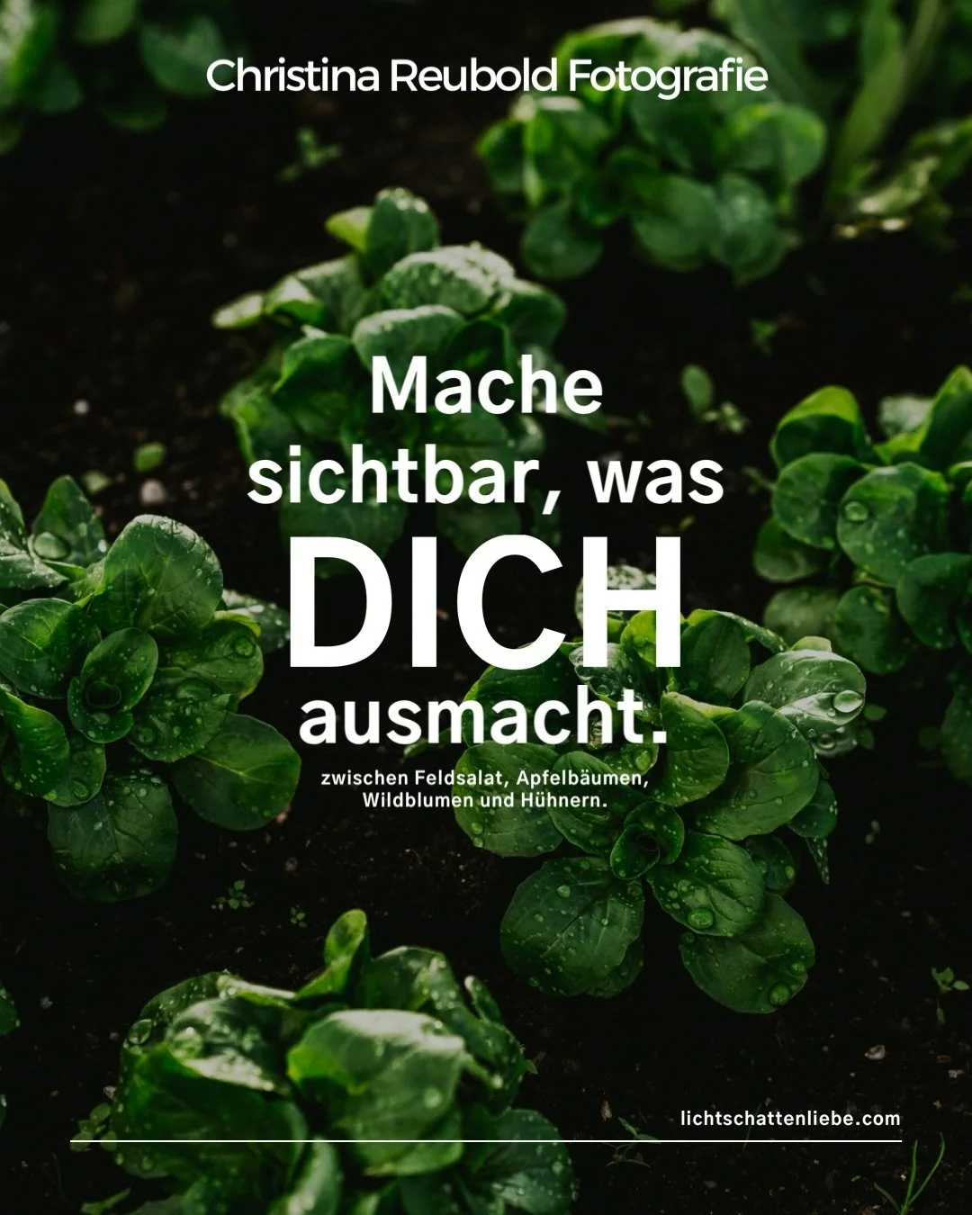 Sichtbarkeit beginnt mit Mut. Mit dem ersten Schritt. 
Mit dem Vertrauen in dich selbst.

Lass uns zusammen beginnen. 

Christina Reubold Fotografie
Mail: hello@lichtschattenliebe.com
Tel./WhatsApp: +49 151 51904770
www.lichtschattenliebe.com

______