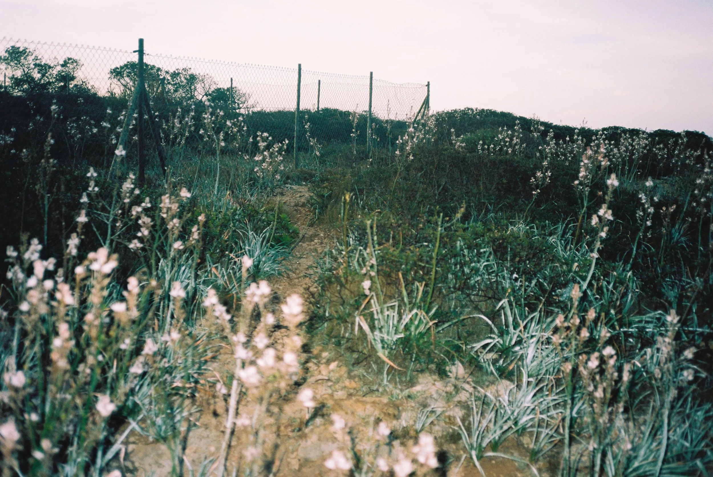 B037989-R1-13-14.jpg