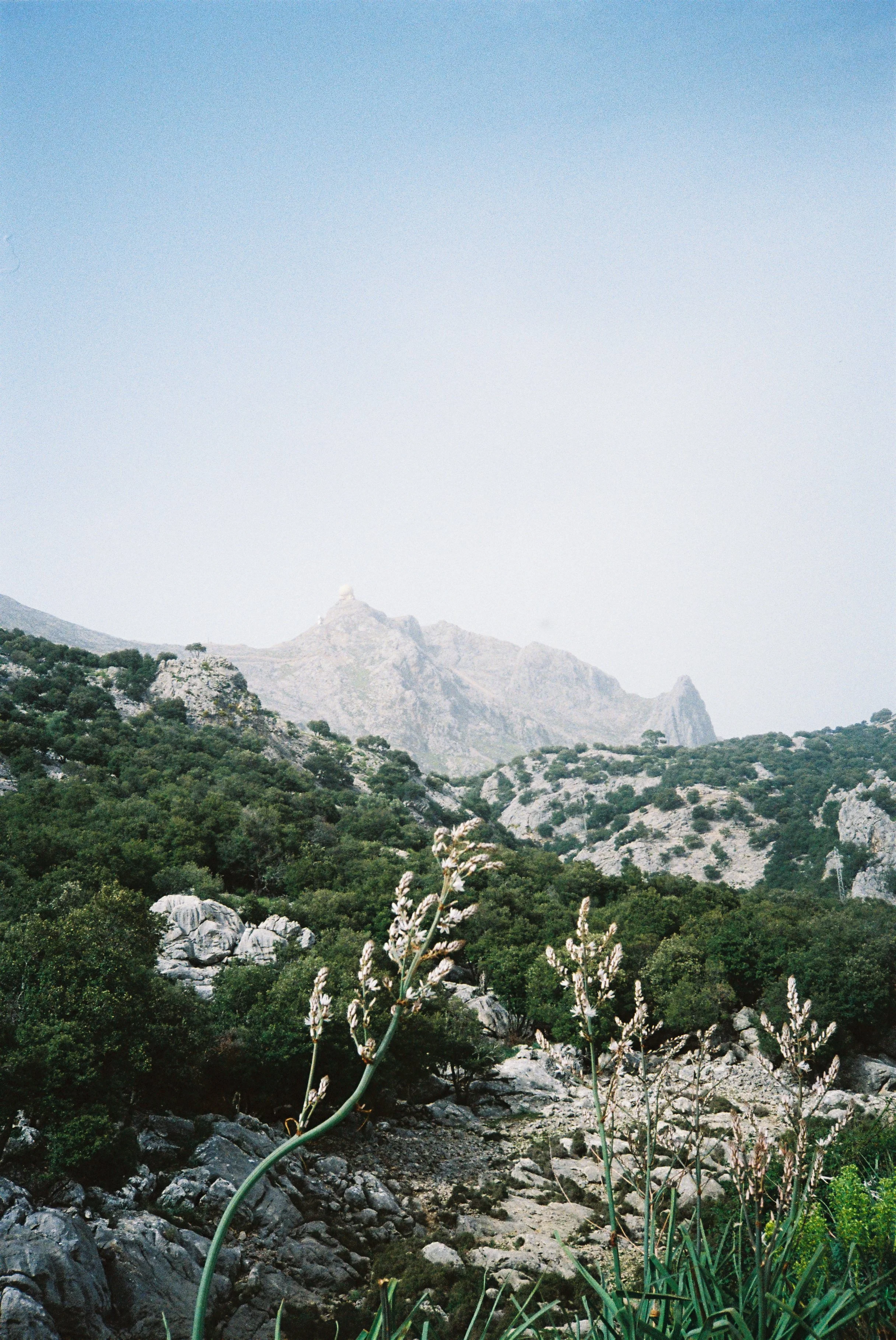 B037988-R1-26-26A.jpg