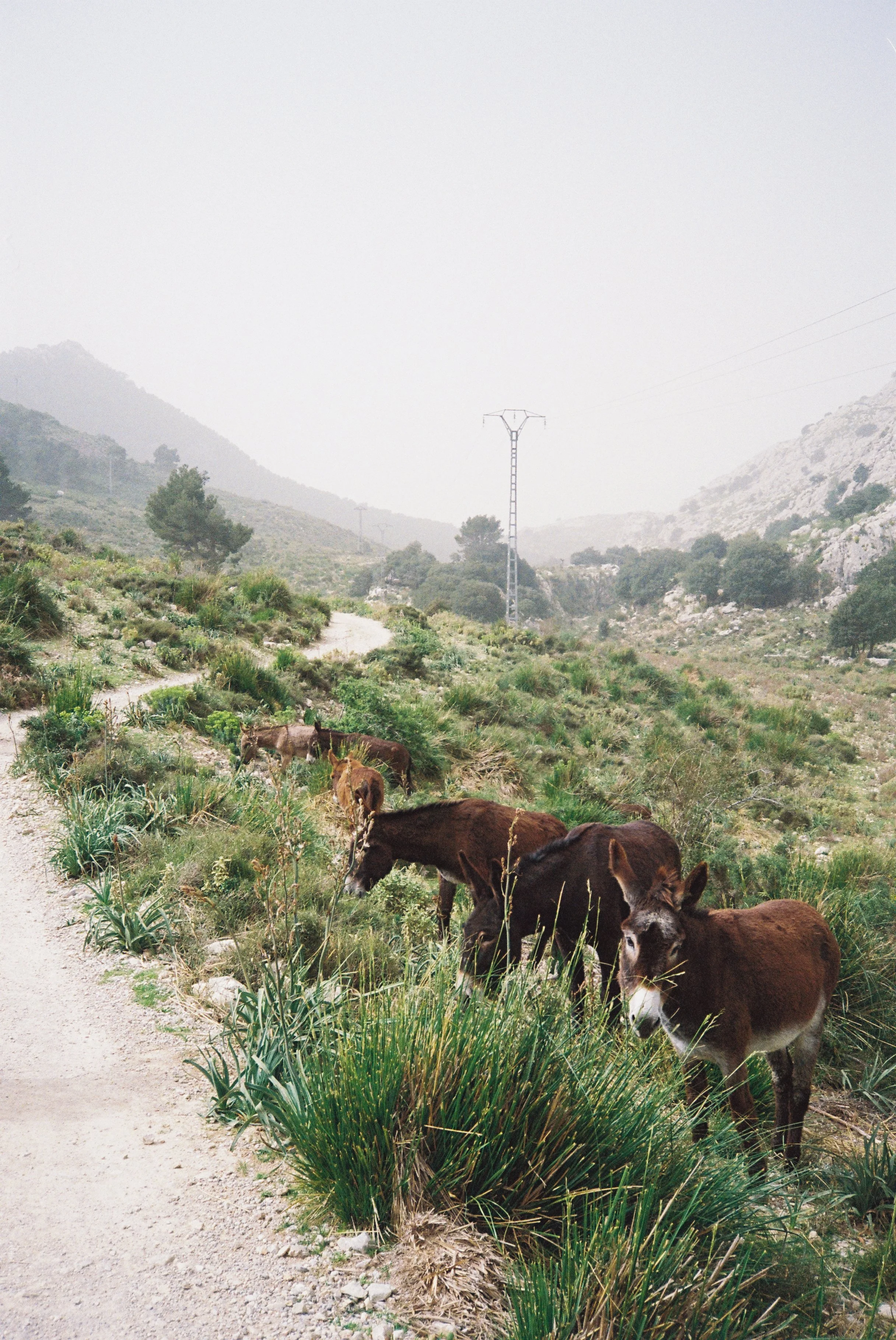 B037988-R1-13-13A.jpg