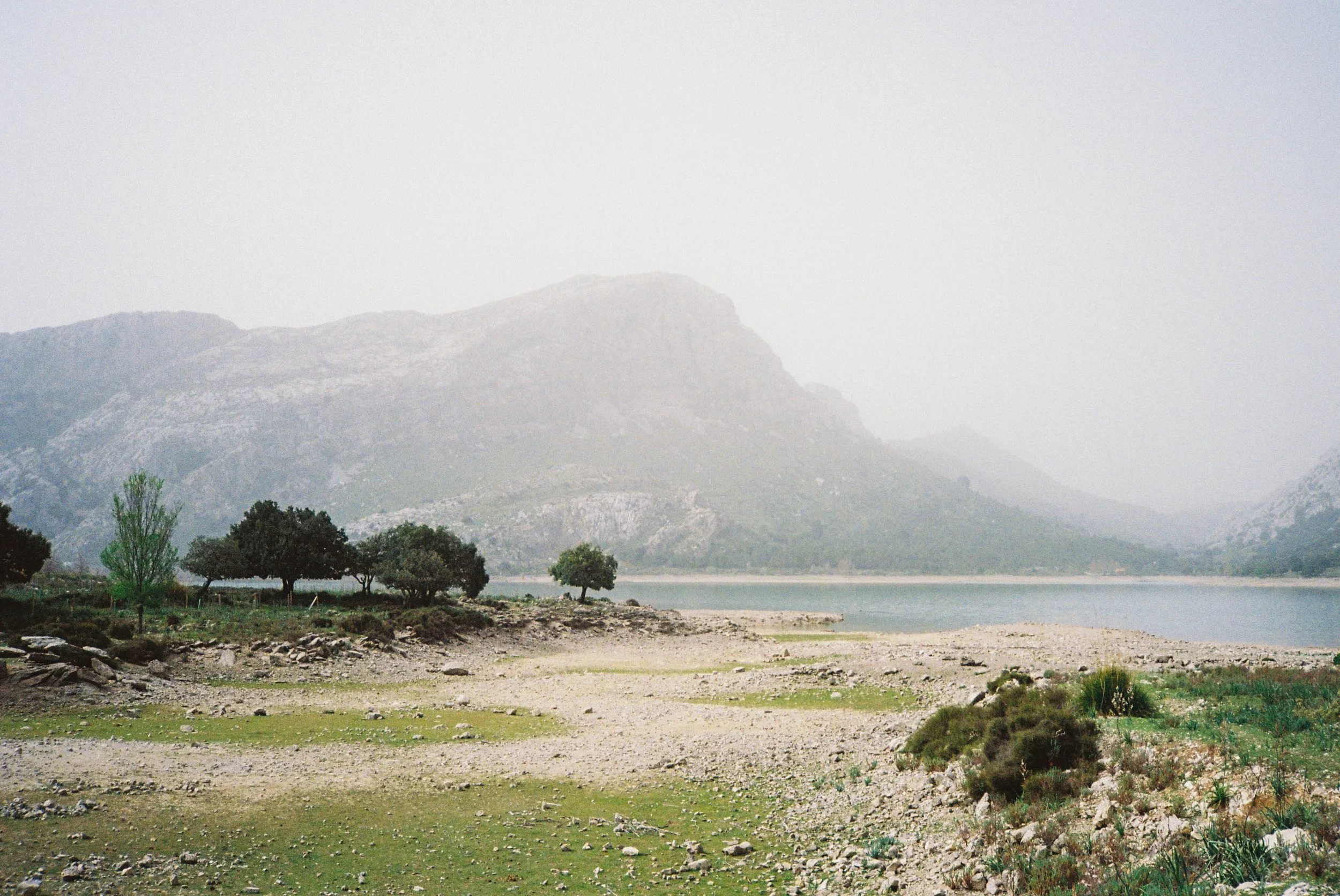 B037988-R1-08-8A.jpg