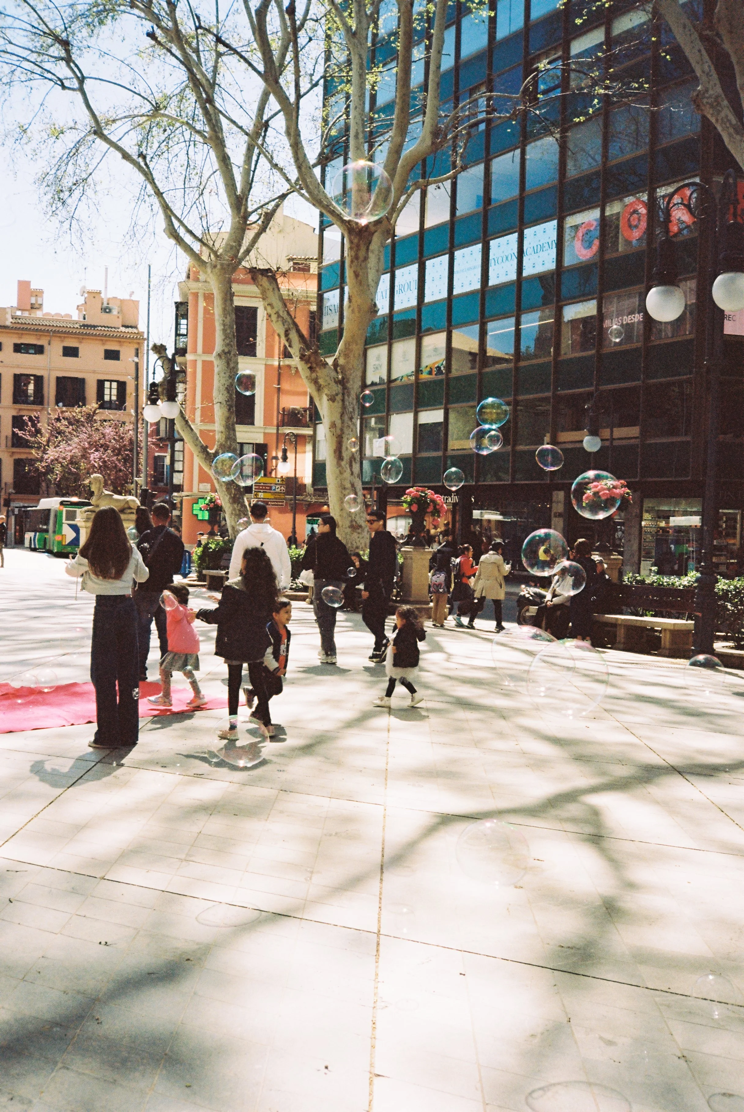 B037987-R1-15-15A.jpg
