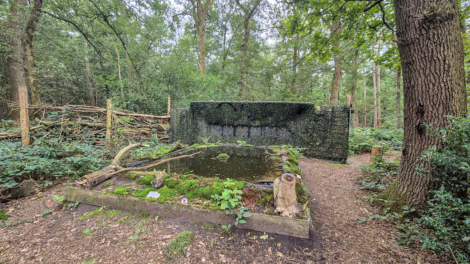 fotohut-zwinderen-vogelhut-drenthe