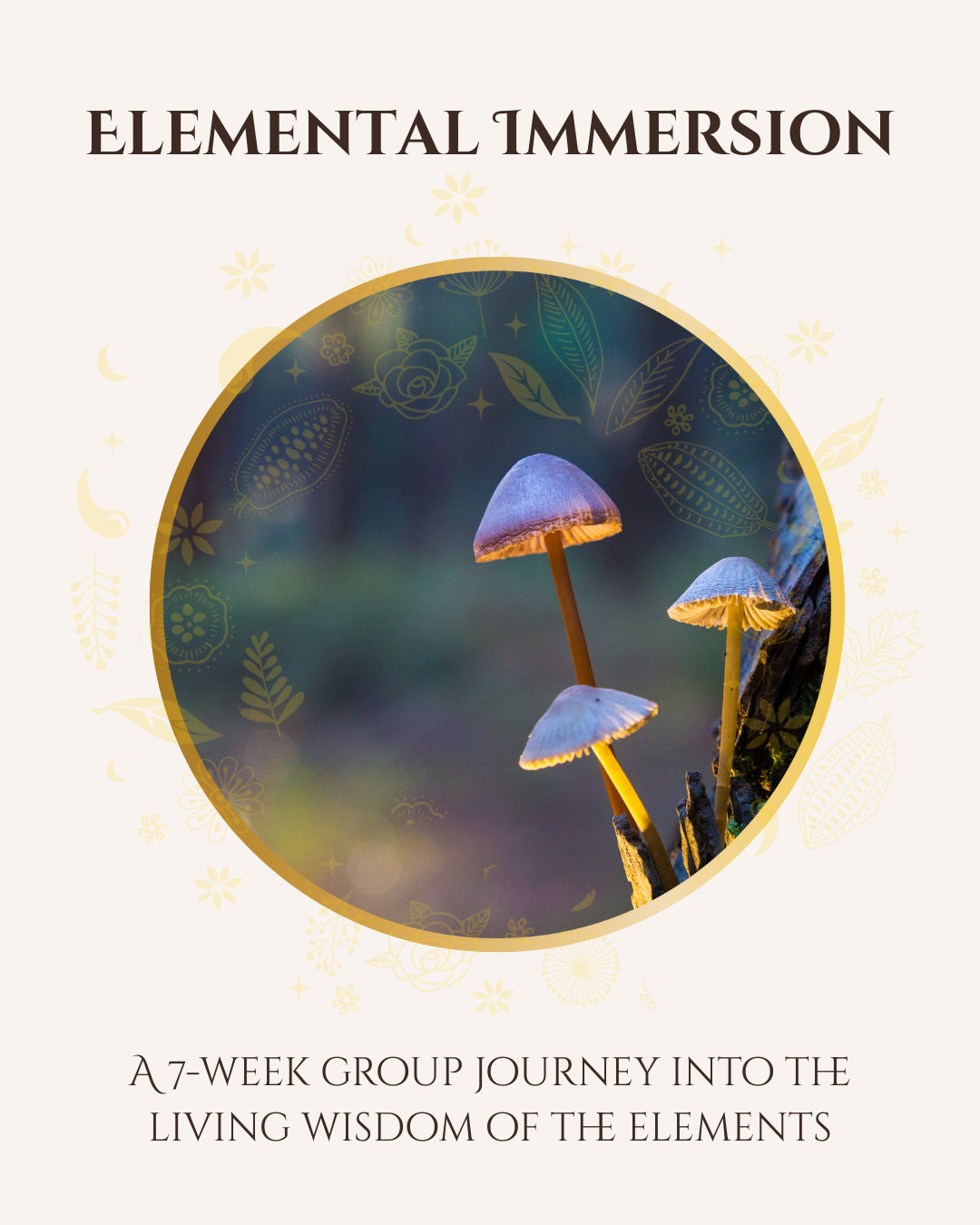Elemental Immersion