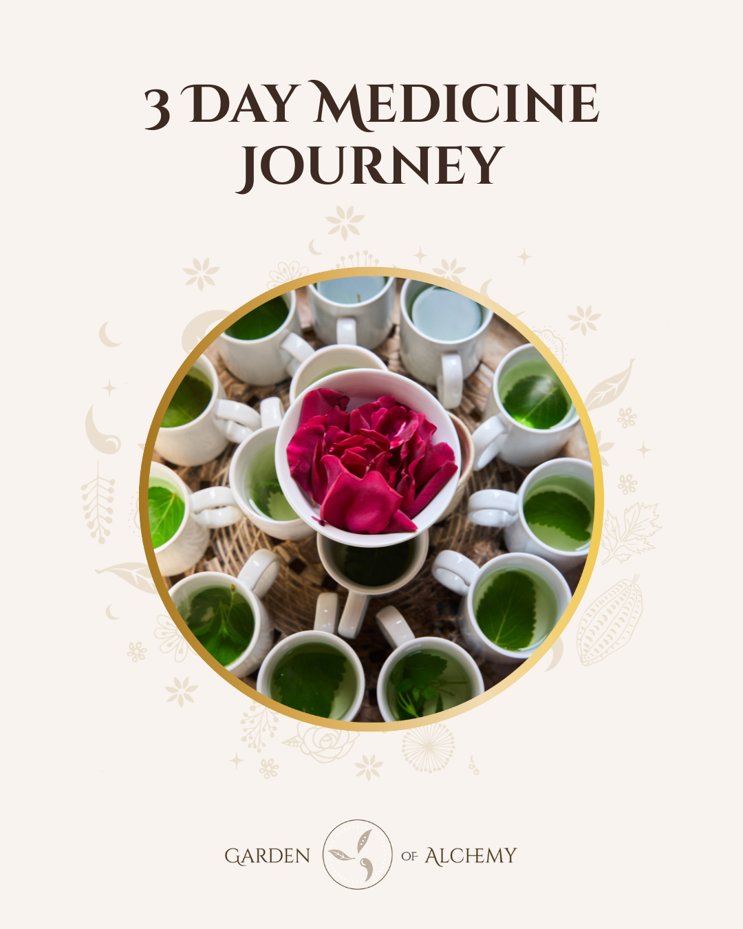 3 Day Medicine Journey