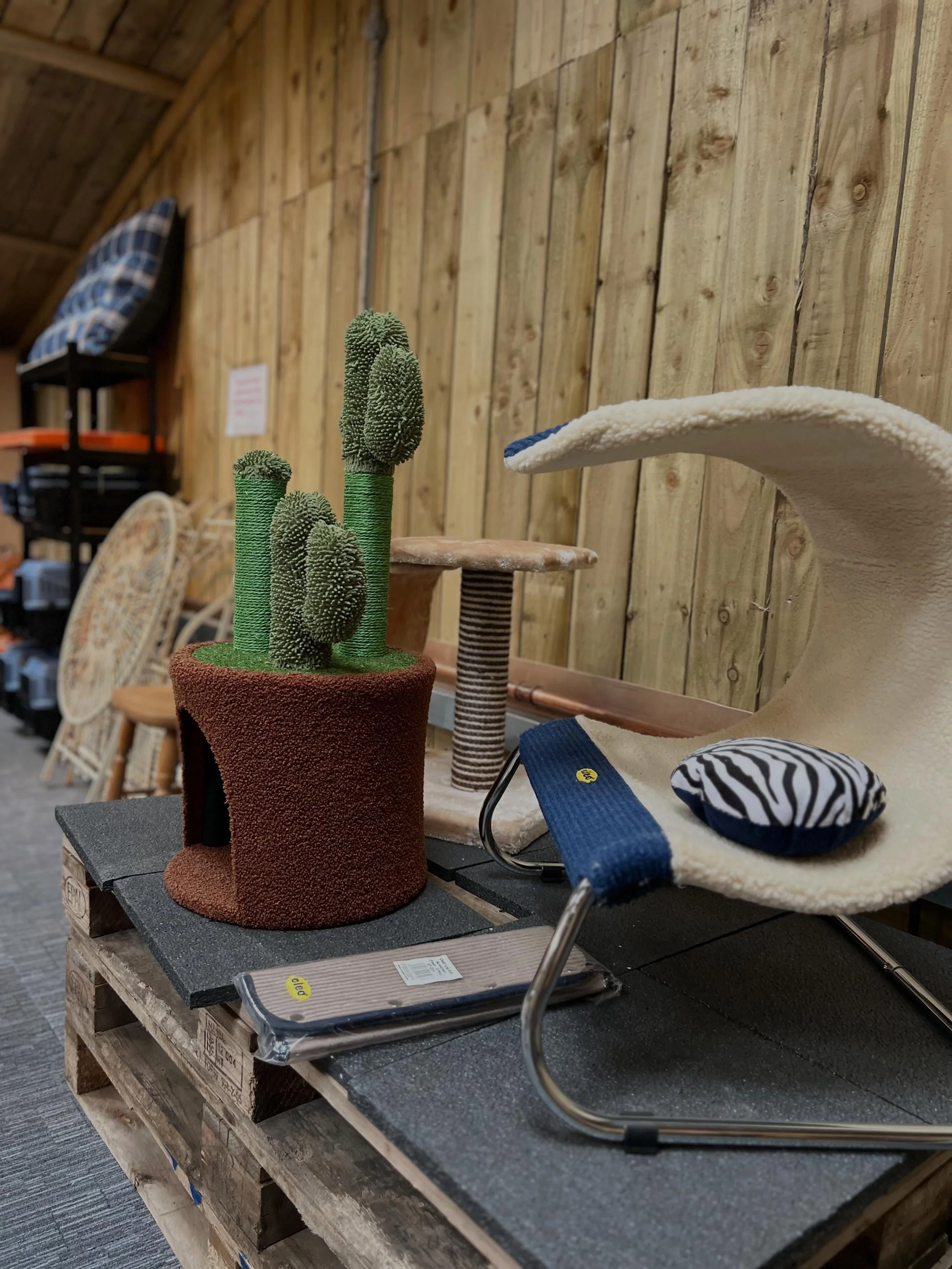 Head upstairs for all the cosy beds 🥹🫶 #localdogshop #cheshire #rawdogfood #delivery #rawcatfood