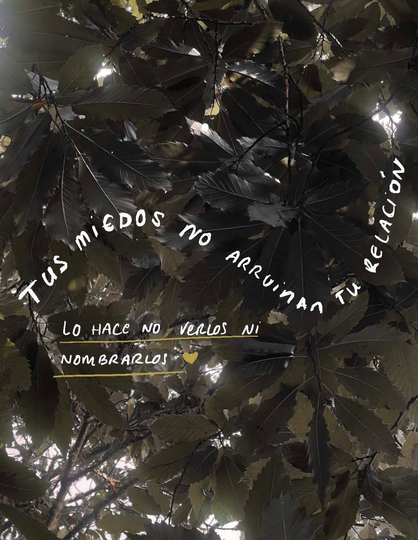 Muchas veces no nos damos cuenta de que no es &ldquo;la otra persona&rdquo; la que est&aacute; generando tensi&oacute;n en la relaci&oacute;n, sino nuestros propios miedos no vistos.

El abandono, el rechazo o la traici&oacute;n no se reflejan solo e