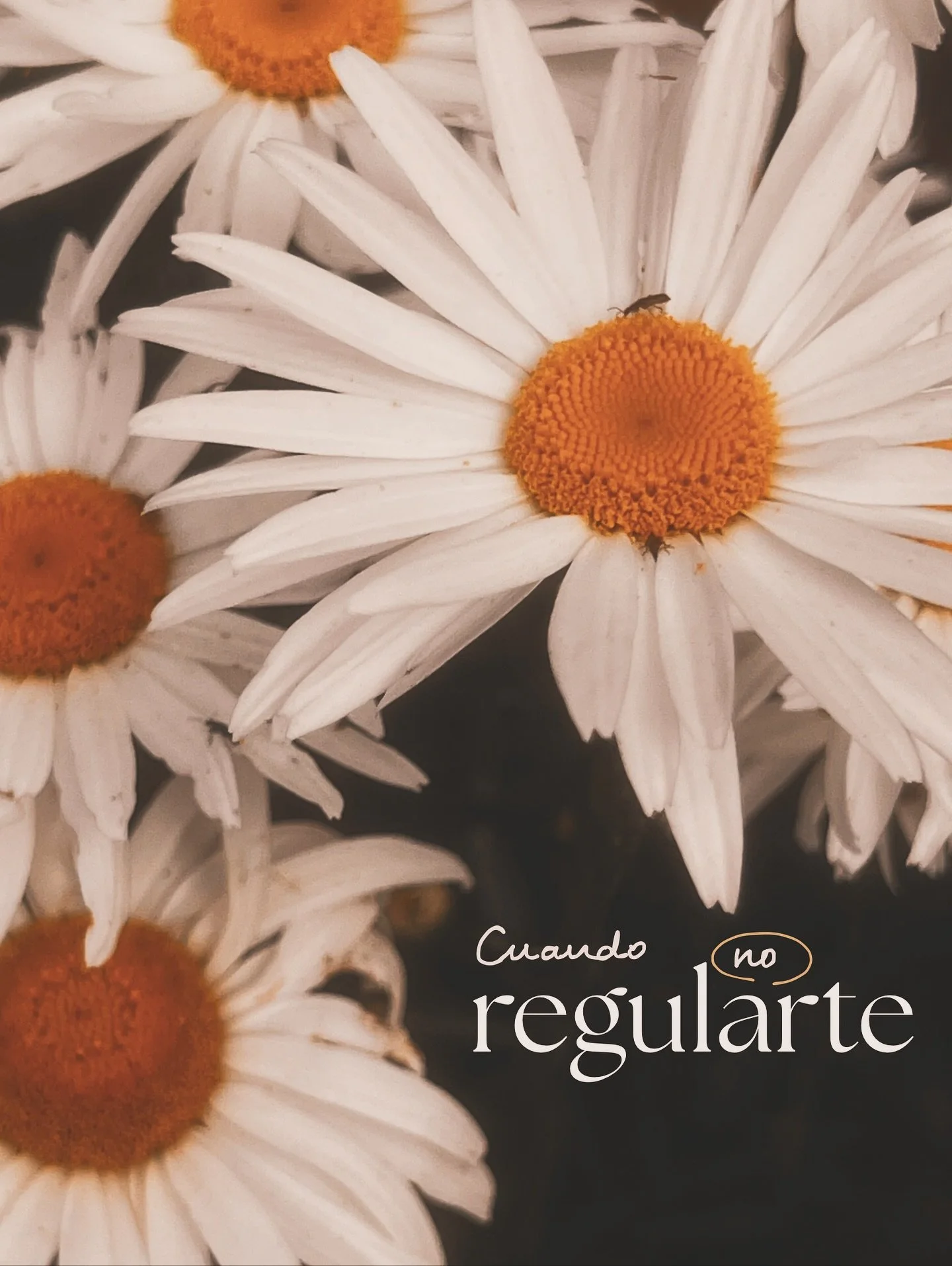 Tu estado emocional no siempre necesita que lo trates de &ldquo;regular&rdquo;. 

Si para ti regulaci&oacute;n significa bajar la intensidad de tu sentir, no dar permiso a ciertas emociones o no actuar como esa parte de ti de la que te averg&uuml;enz