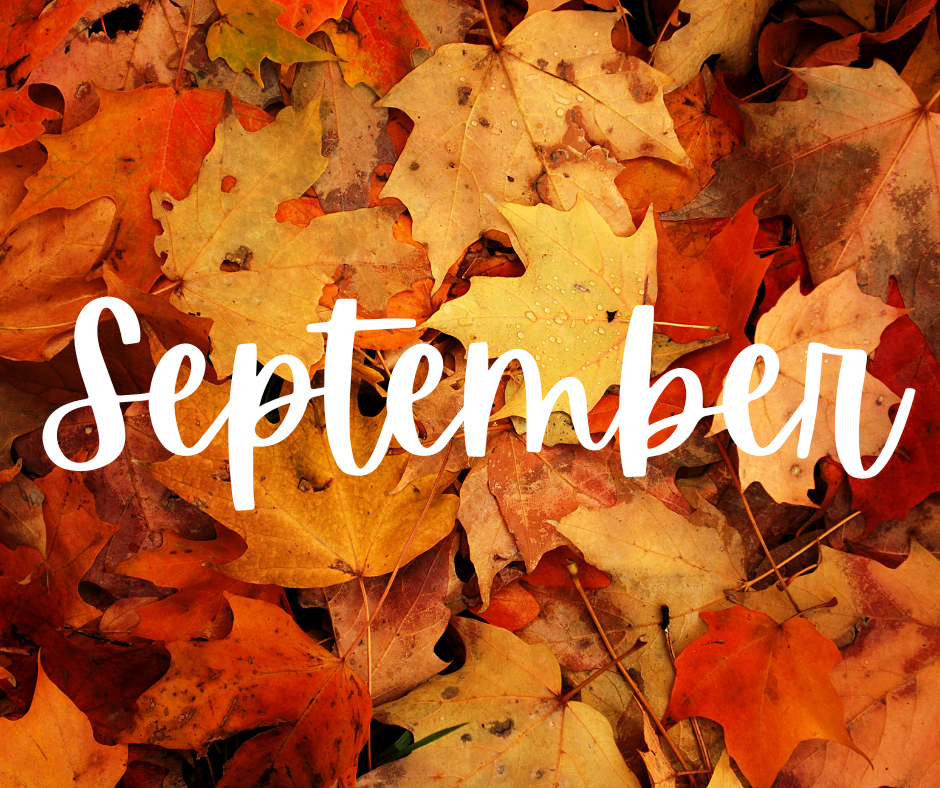 Weekly Update: September 12, 2025