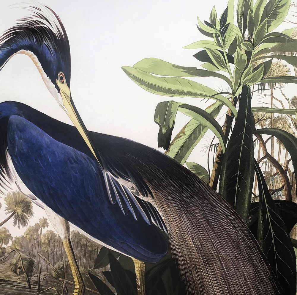 Blue Heron Wine Shop