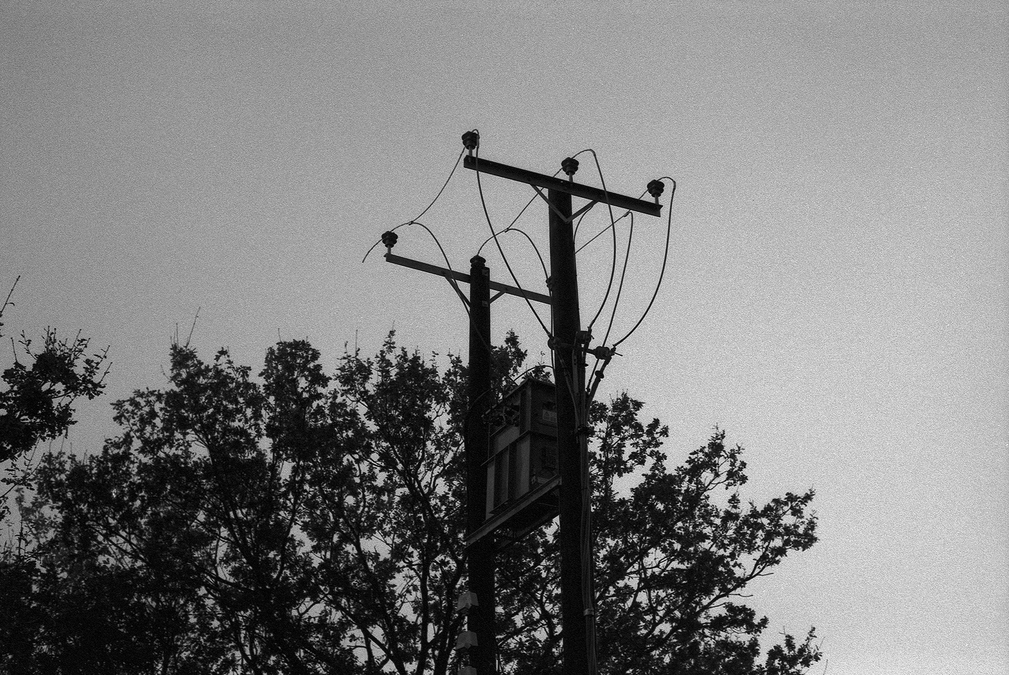 ILFDelta100 copy.jpg