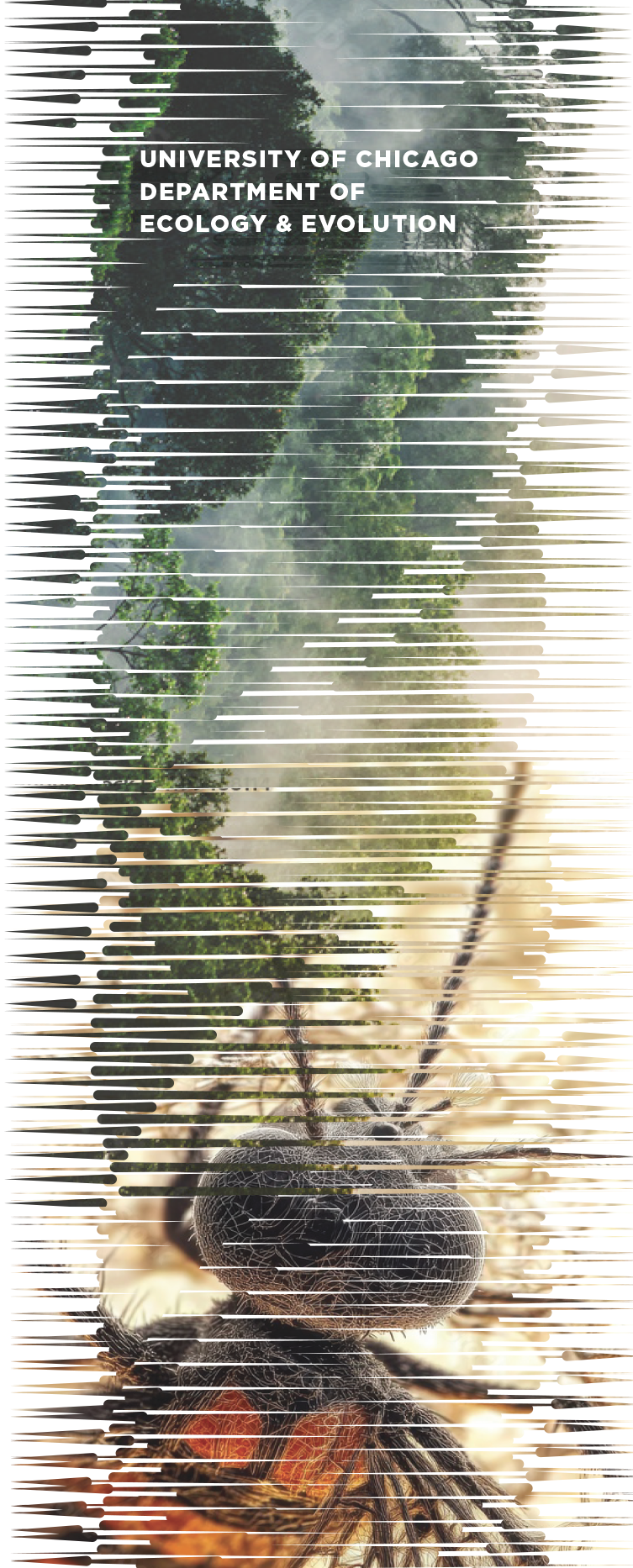 UoC_E&E_2.png