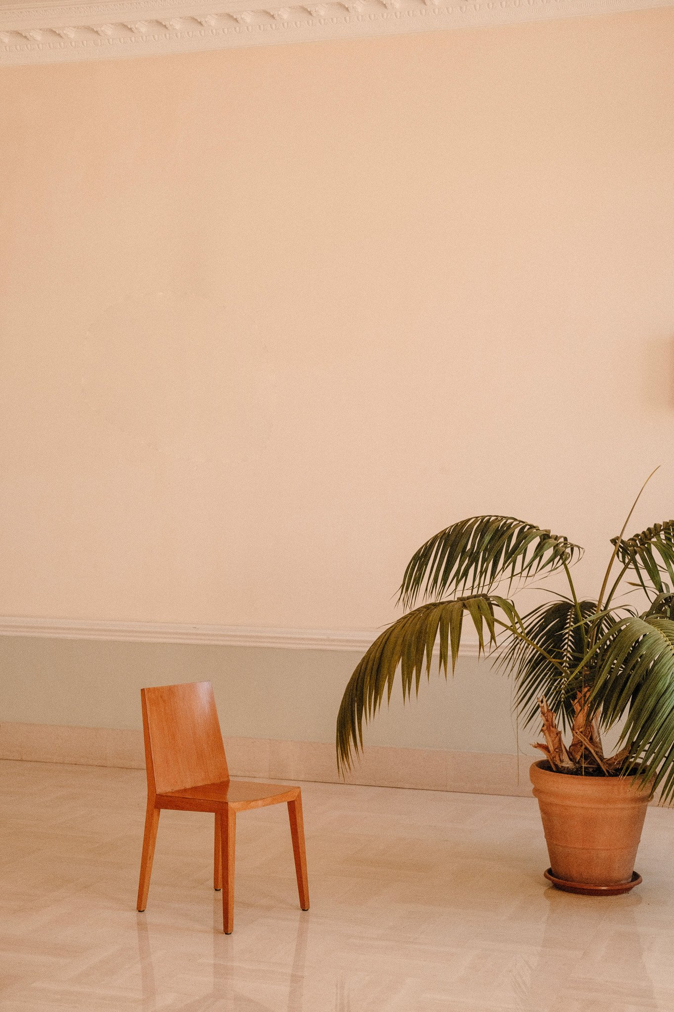 DSCF9922 11.56 4.jpg