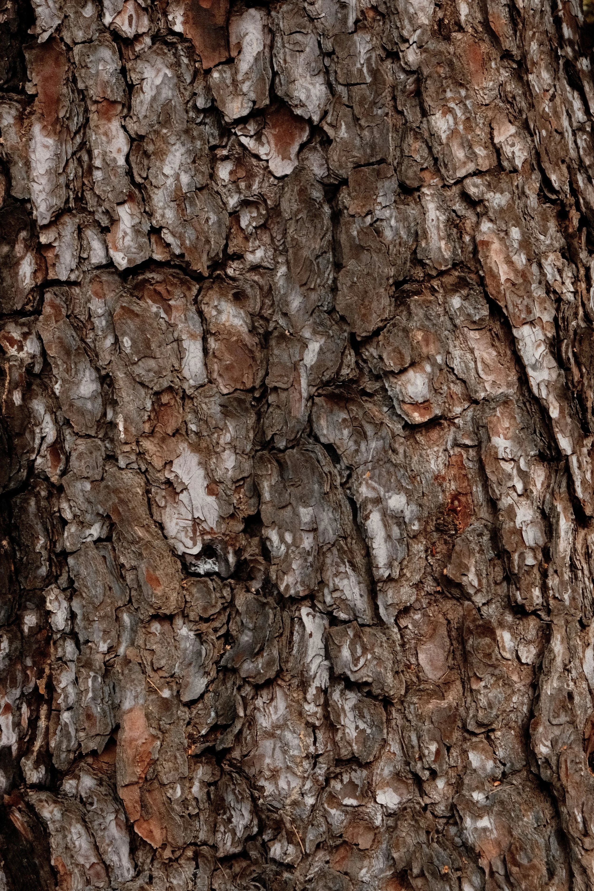 DSCF9534 19.33.28.jpg