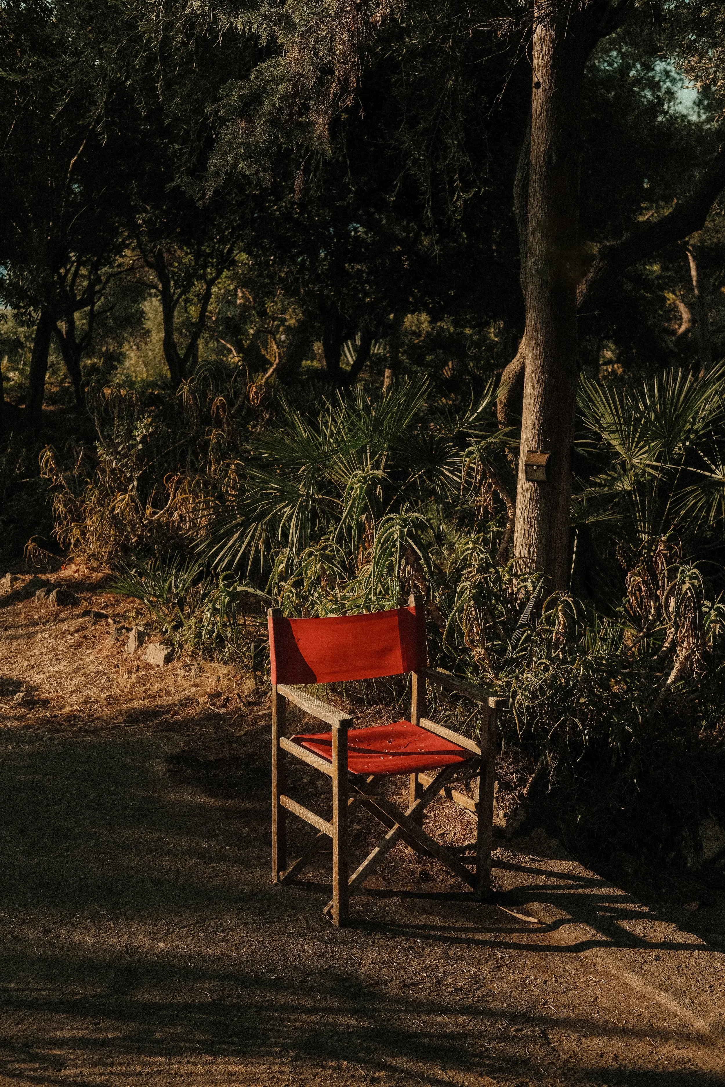 DSCF9662 11.10.15.jpg