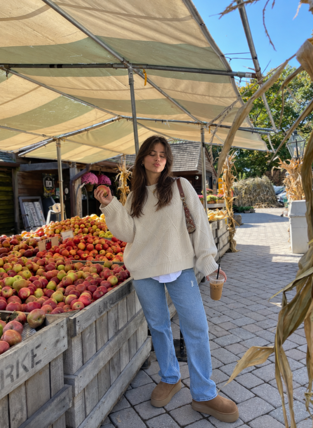 Playful Apple Orchard Market Stroll.png