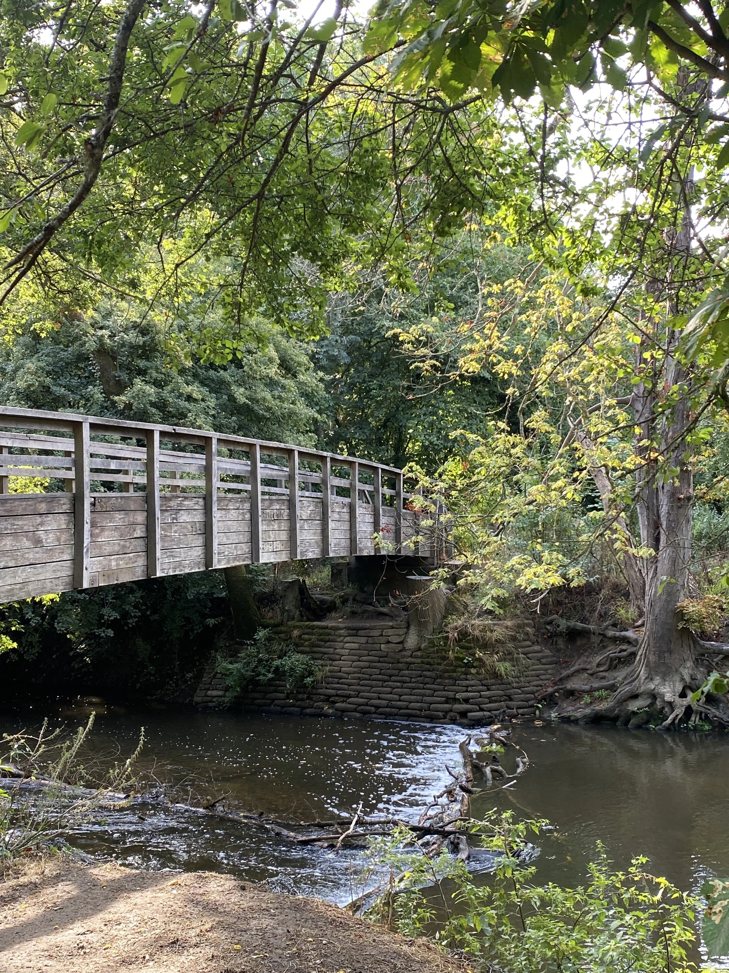 Box Hill to Buckland Lake: Community Walk, Sauna &amp; Yoga