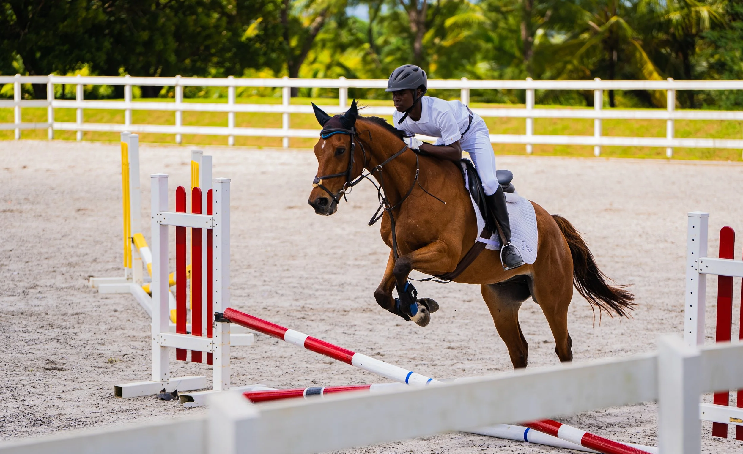 Book a Ride / Lesson — Sandy Turf Stables