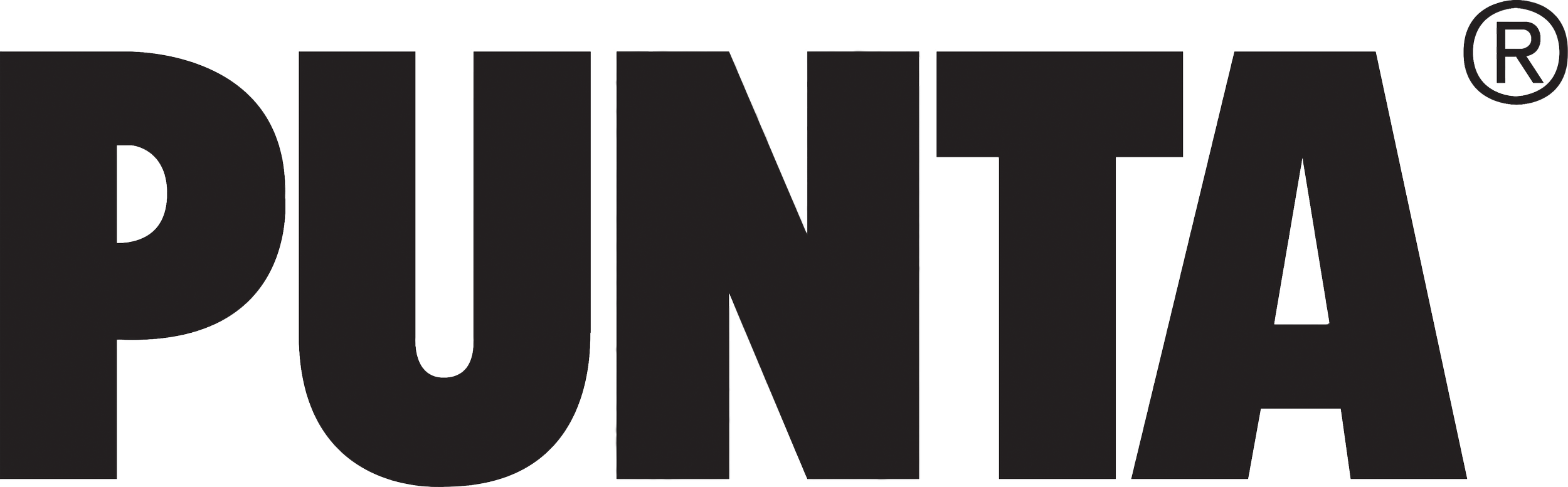 PUNTA_logo PNG.png
