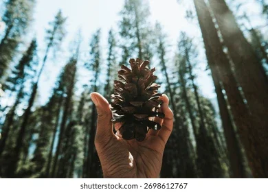  Not Every Pinecone Becomes a Tree:
