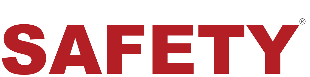 The World Institute of Safety