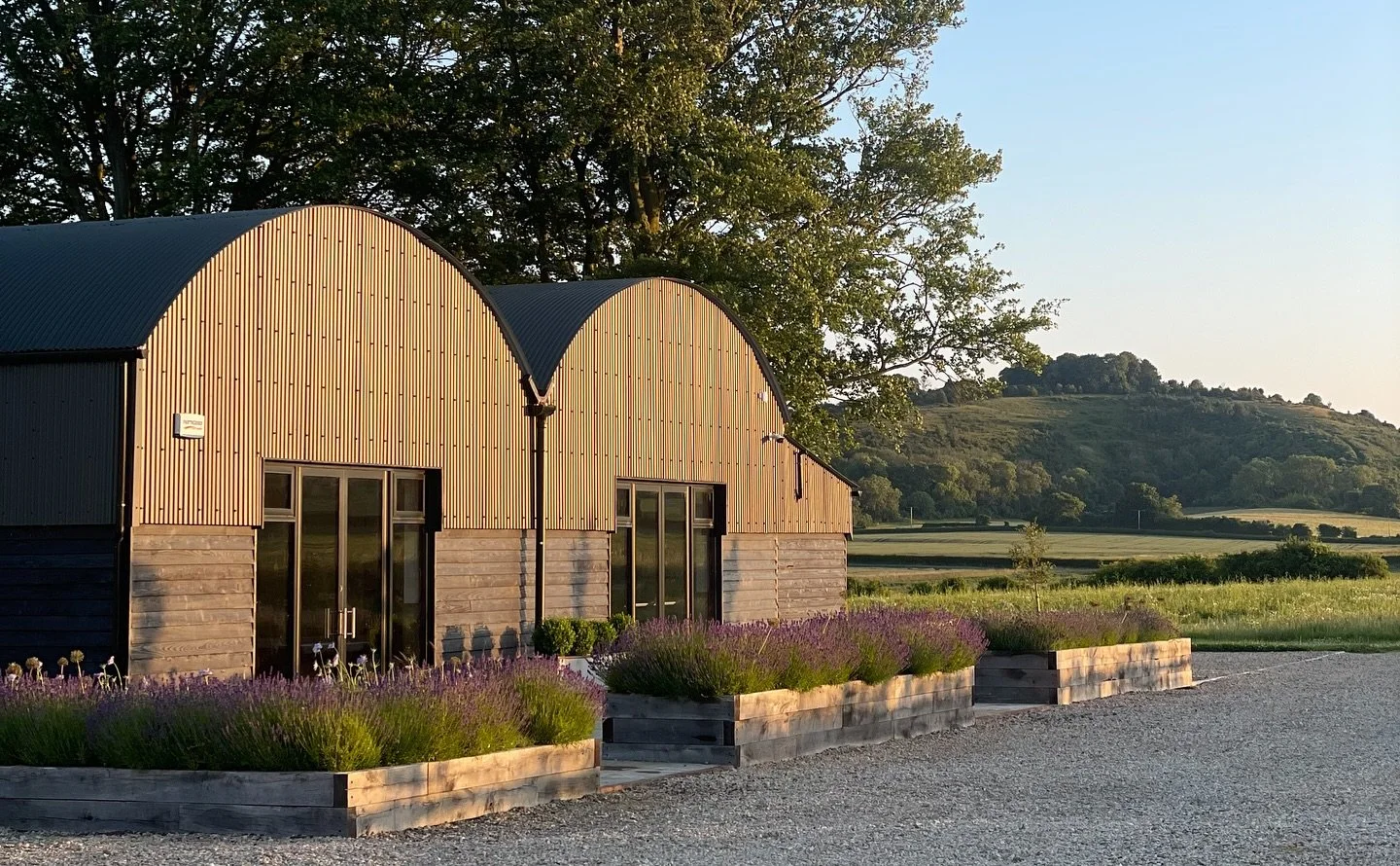 Looking back on a golden hour and the Dutch Barn ✨