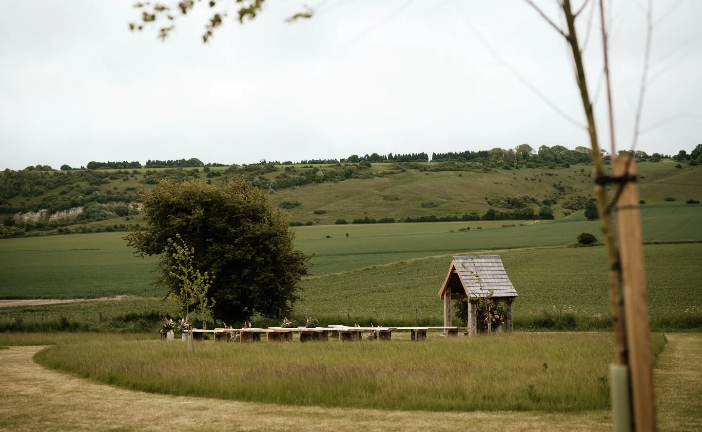Green and lush, we are just waiting for Spring! 🌸 @robingoodladphotography