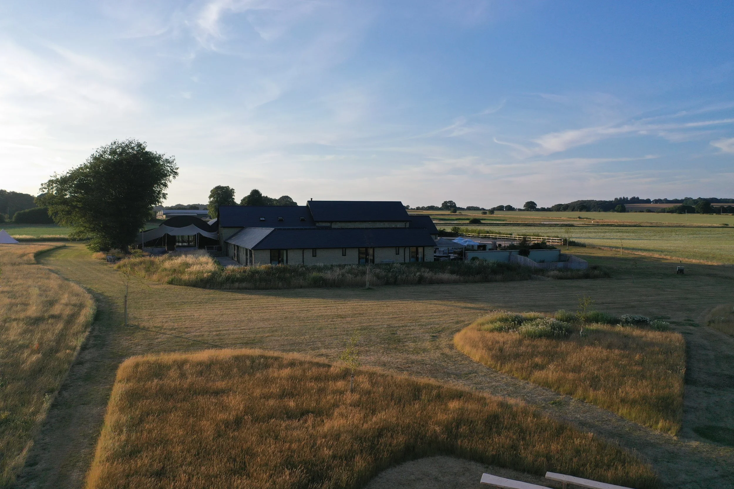 A rural landscape with a house and a large tree, surrounded by open fields and a dirt path, under a blue sky with some clouds.