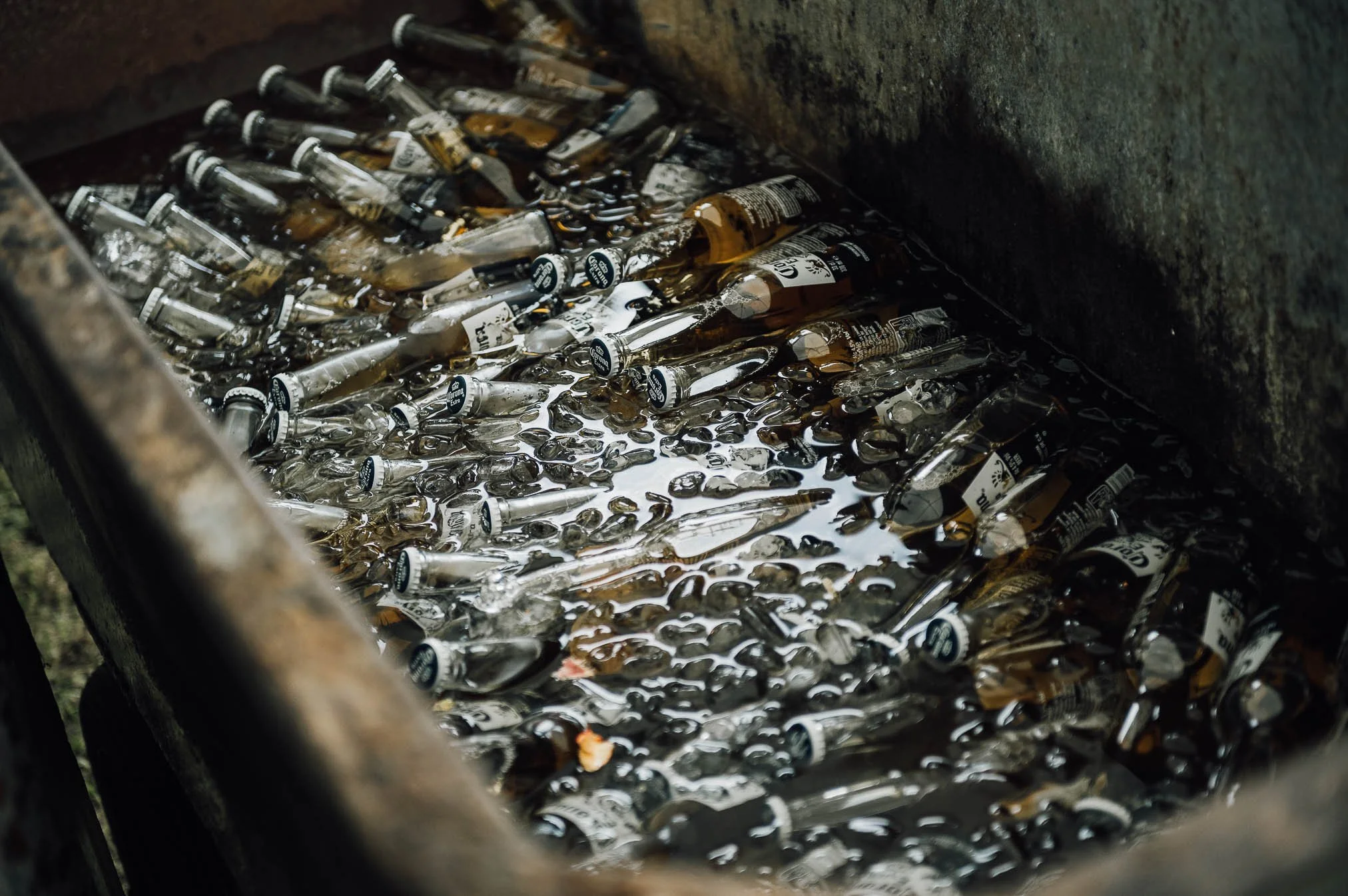 A large container filled with numerous empty beer bottles floating in water.