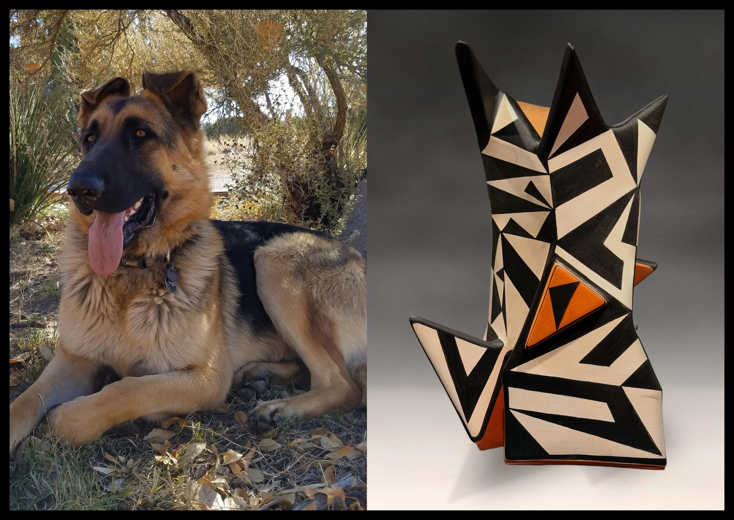 The Very Best Companion