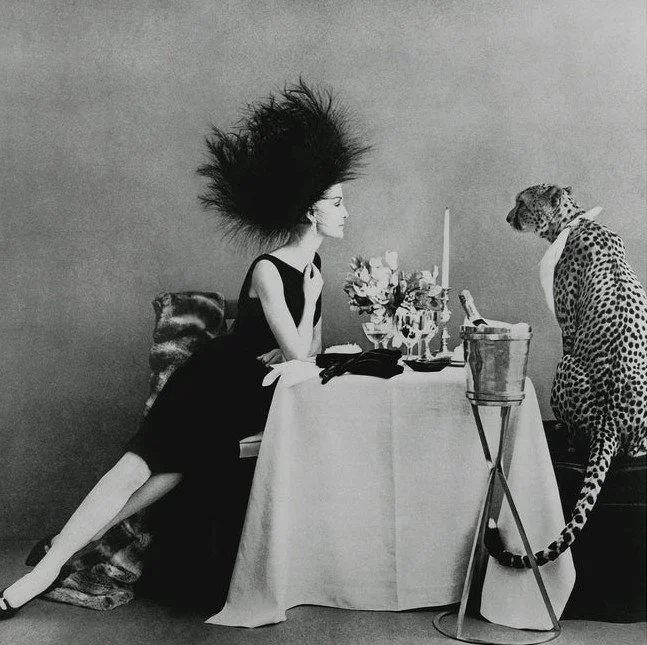 Model with a Cheetah, from the Condé Nast Collection through Jonathan Adler. This black-and-white fashion photograph brings playful glamour and striking contrast to a collected interior.