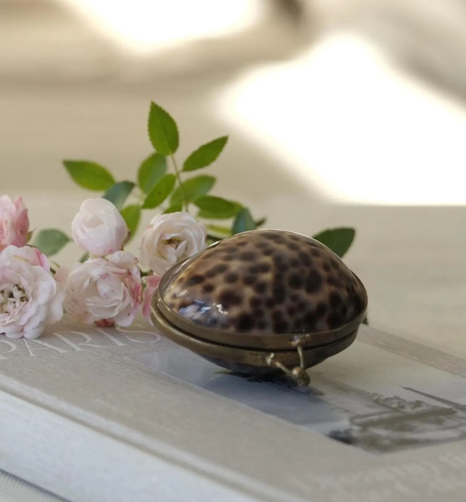 Vintage 1960s Cowrie Shell Box, through StilKindShop on Etsy. A spotted shell and brass mount bring natural texture, coastal charm, and keepsake appeal to a collected interior.