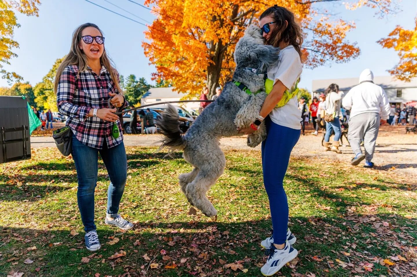 Jump for joy! The Barktoberfest photos are posted in our online gallery. Link in bio and story.  https://casacreatives.passgallery.com/-barktoberfest2022/
.
.
.
📷 By @elanaleksandr and @annegirlofnogables of @casa_creatives 
.
.
#sweetpawsrescue #ba