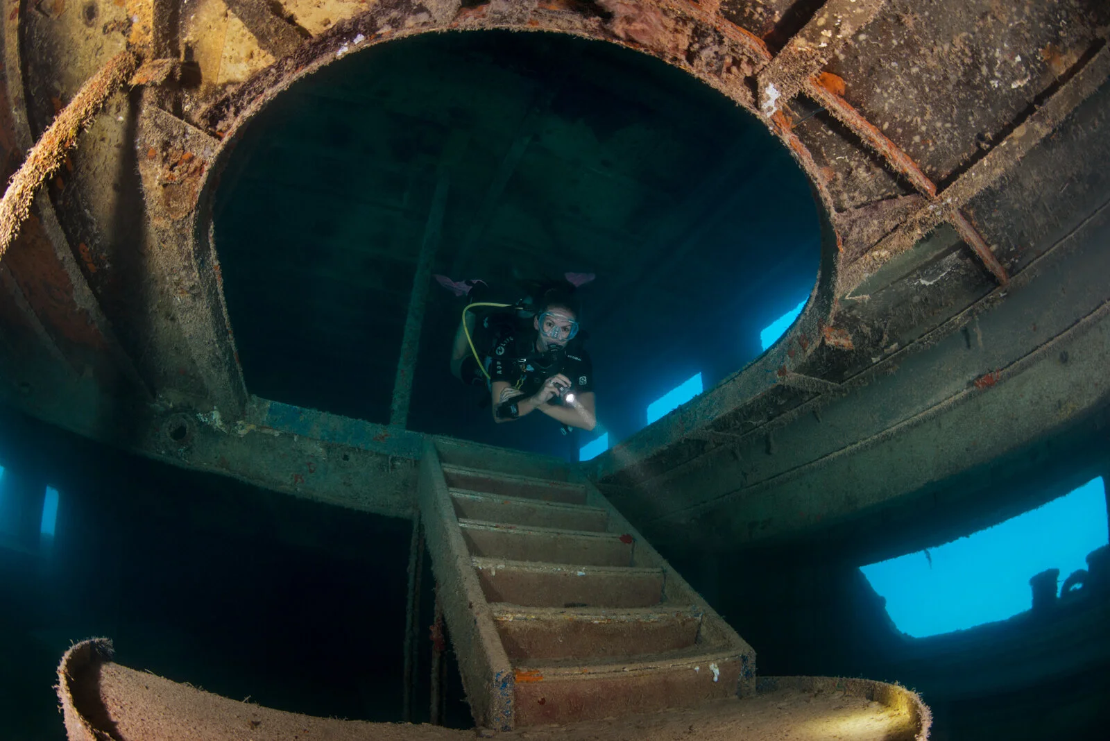Gallery — Dive Bermuda at Somerset