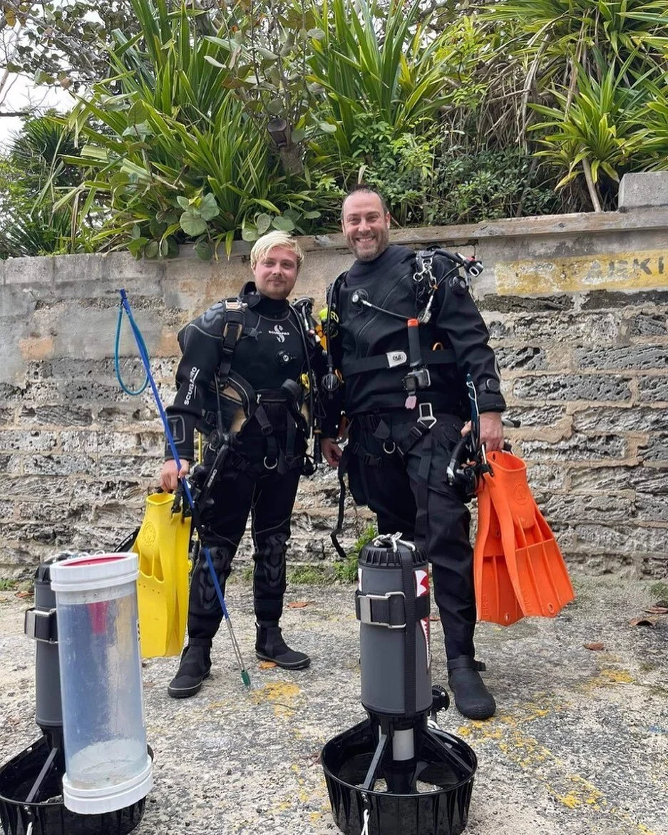 Dive Bermuda at Somerset Bermuda's Premier Dive Centers