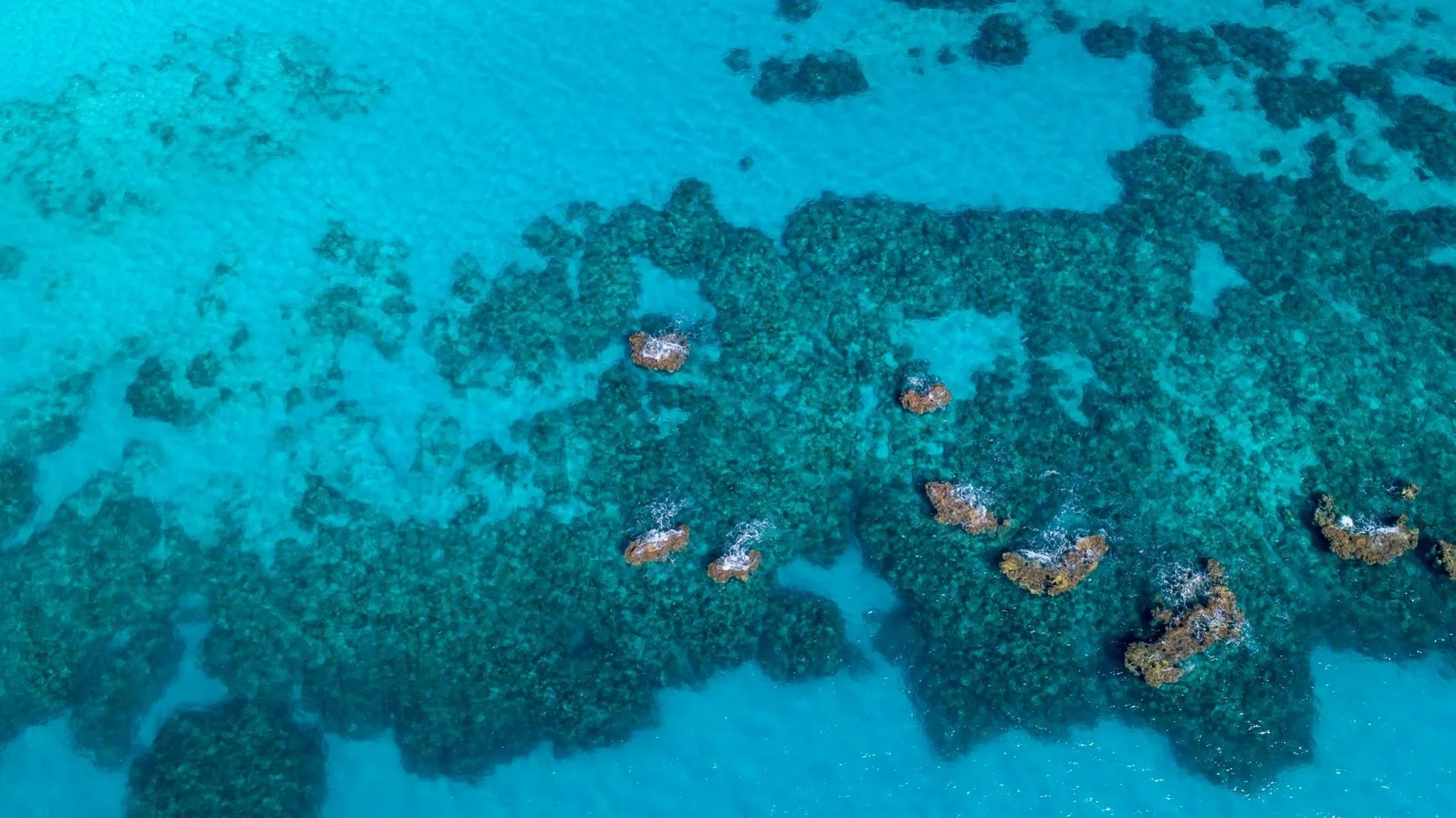 Mike - S Shore blue water.jpg