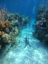 canva - north rock2.jpg