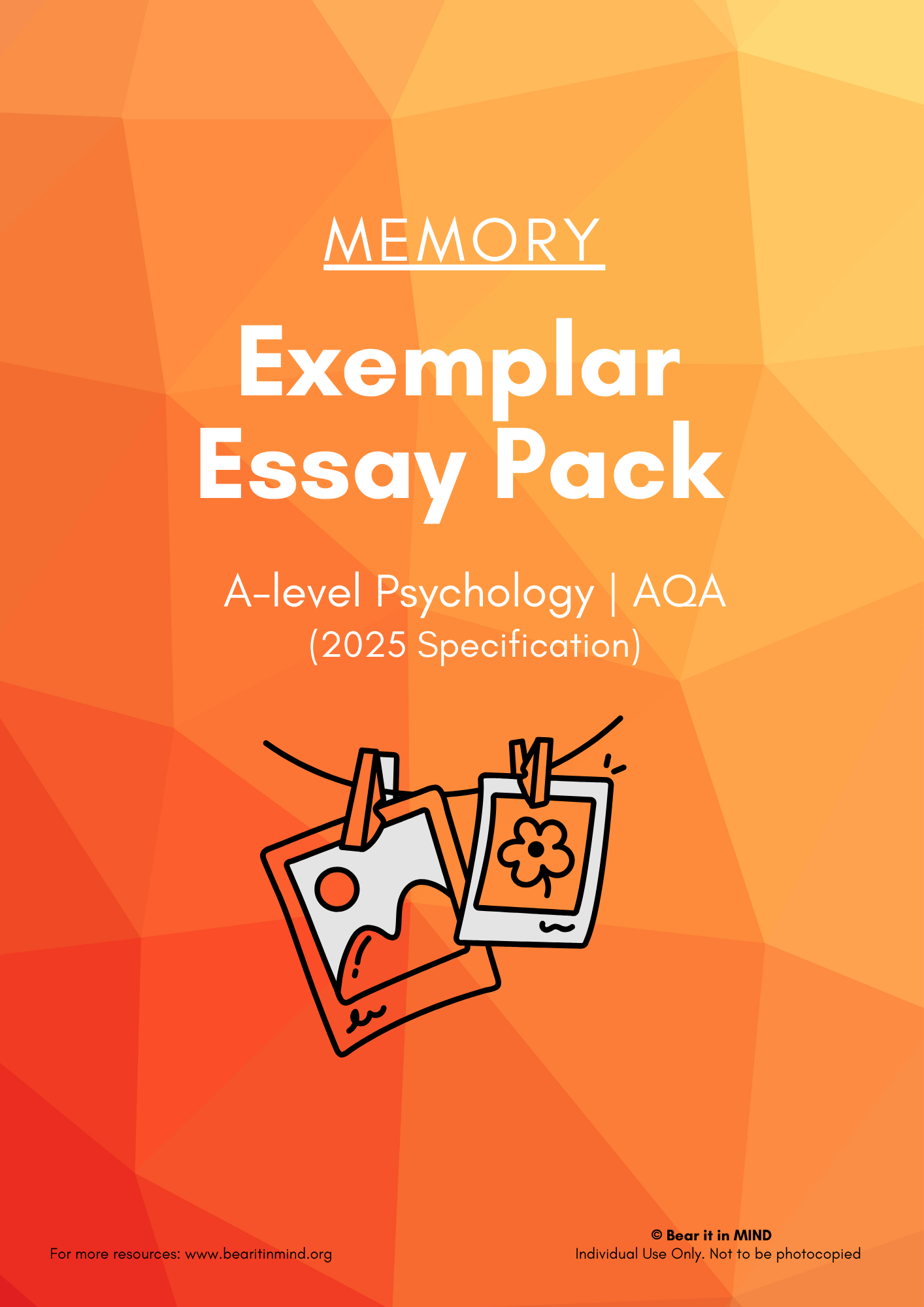 Memory Exemplar Essays