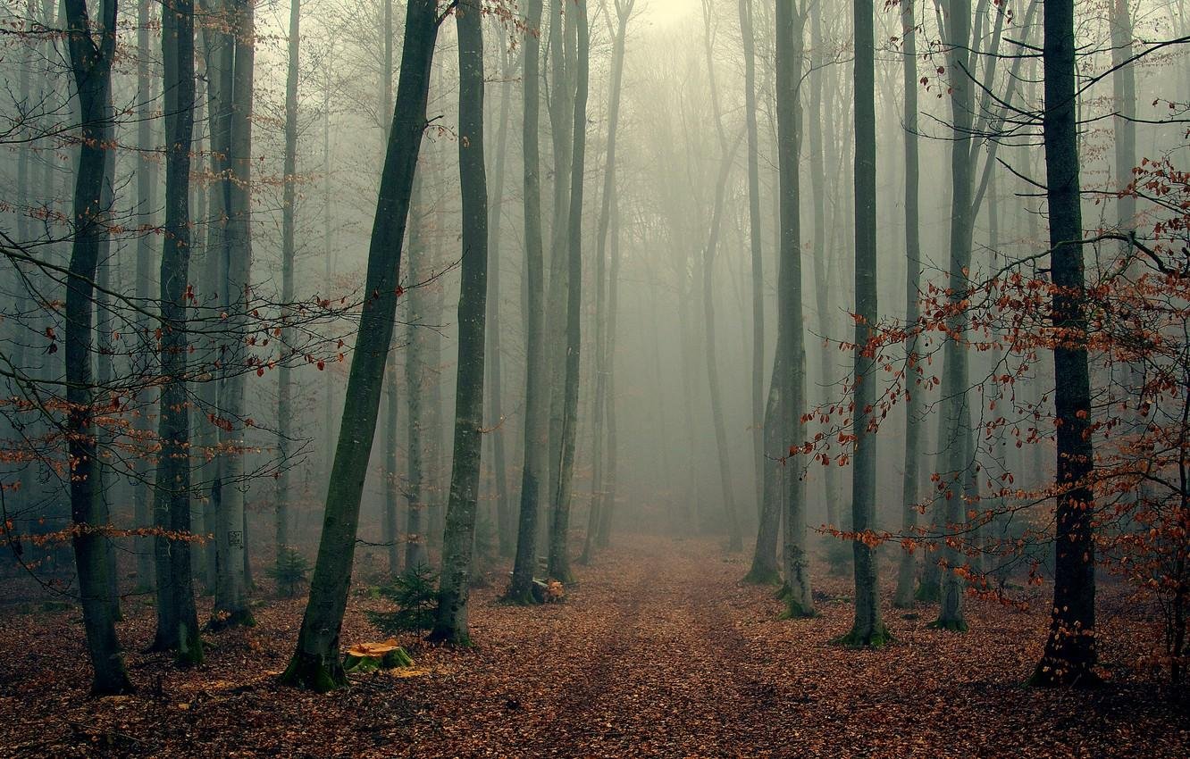 The Fog of Translation