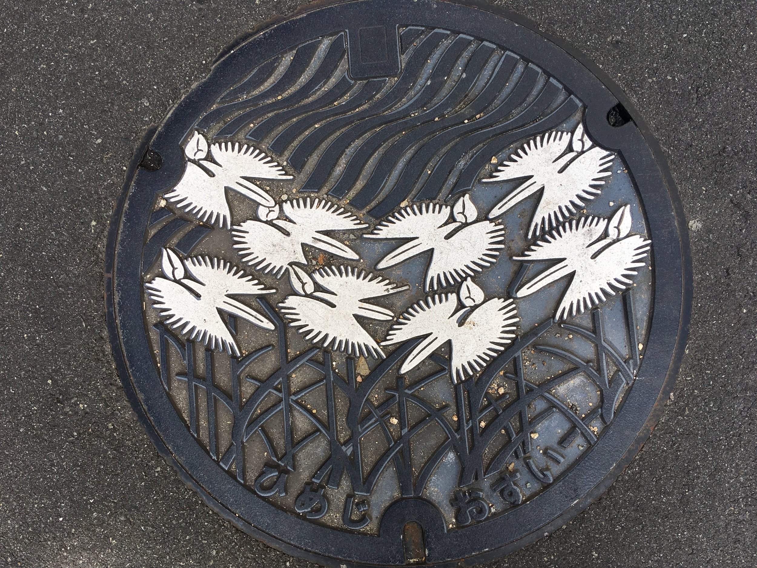 Manhole Covers