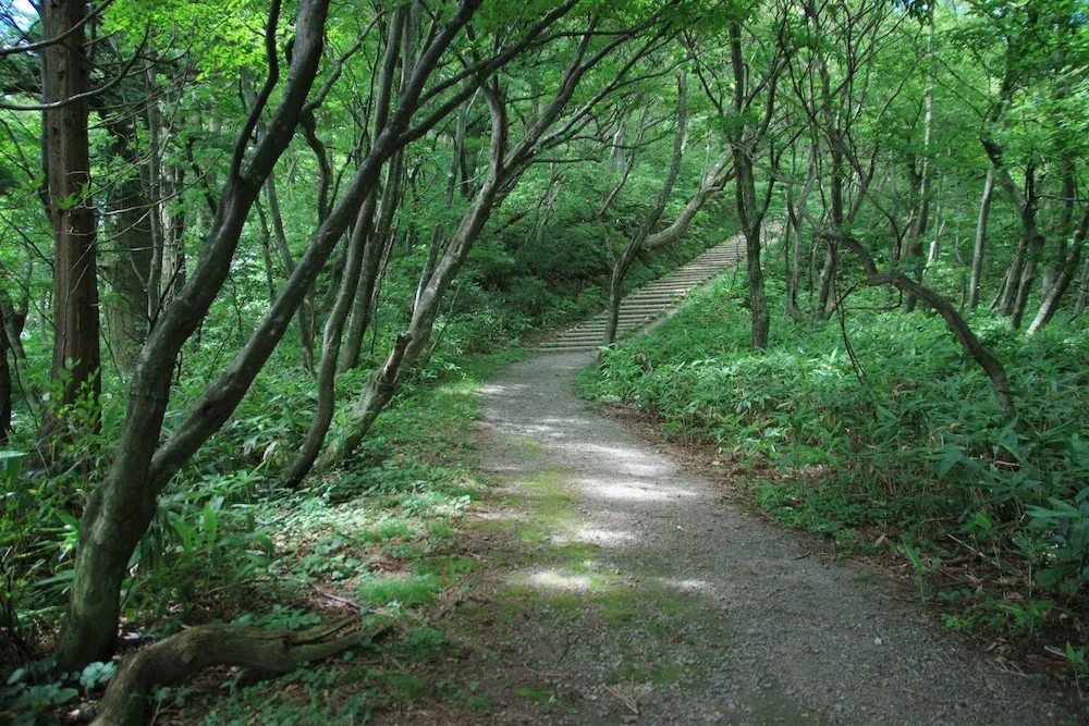 The Long Road to Nihongo