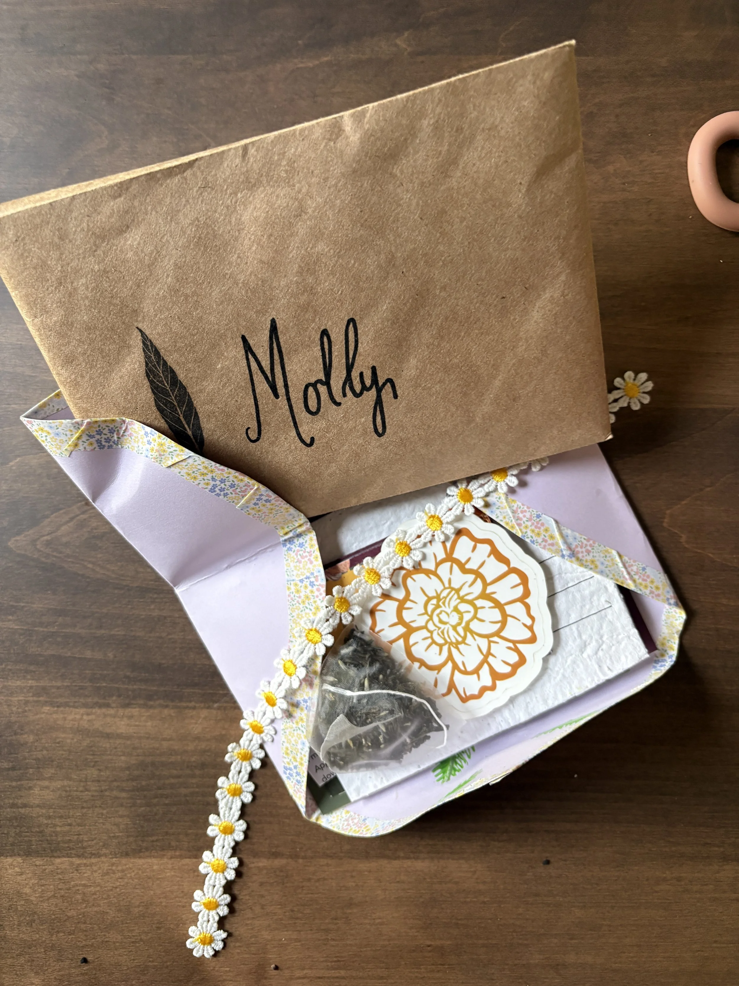 Snail~mail Subscription (Deluxe)