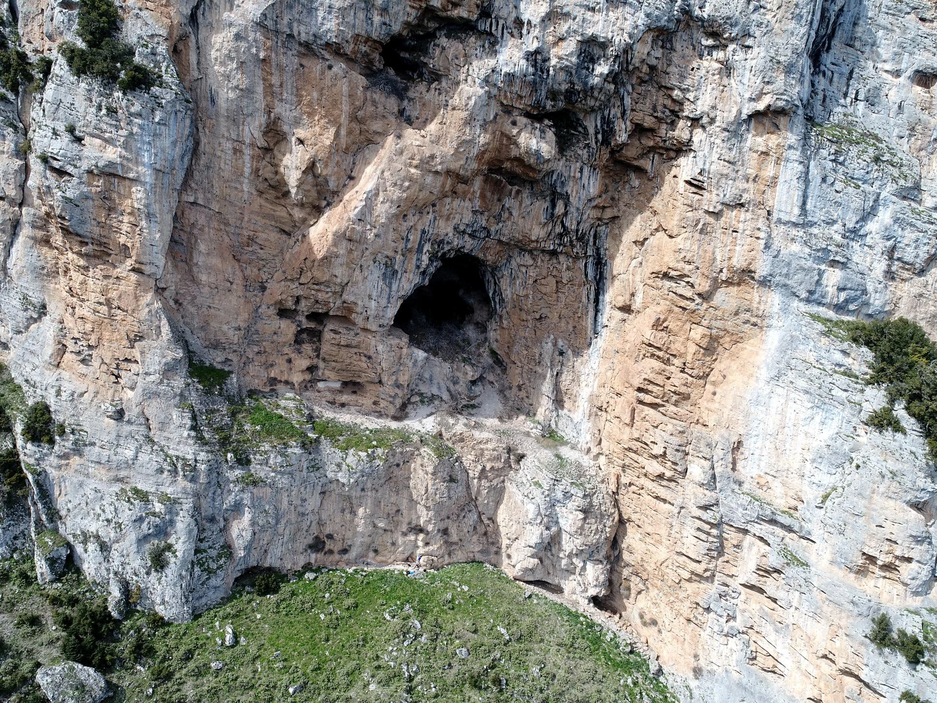DJI_0208_web.jpg