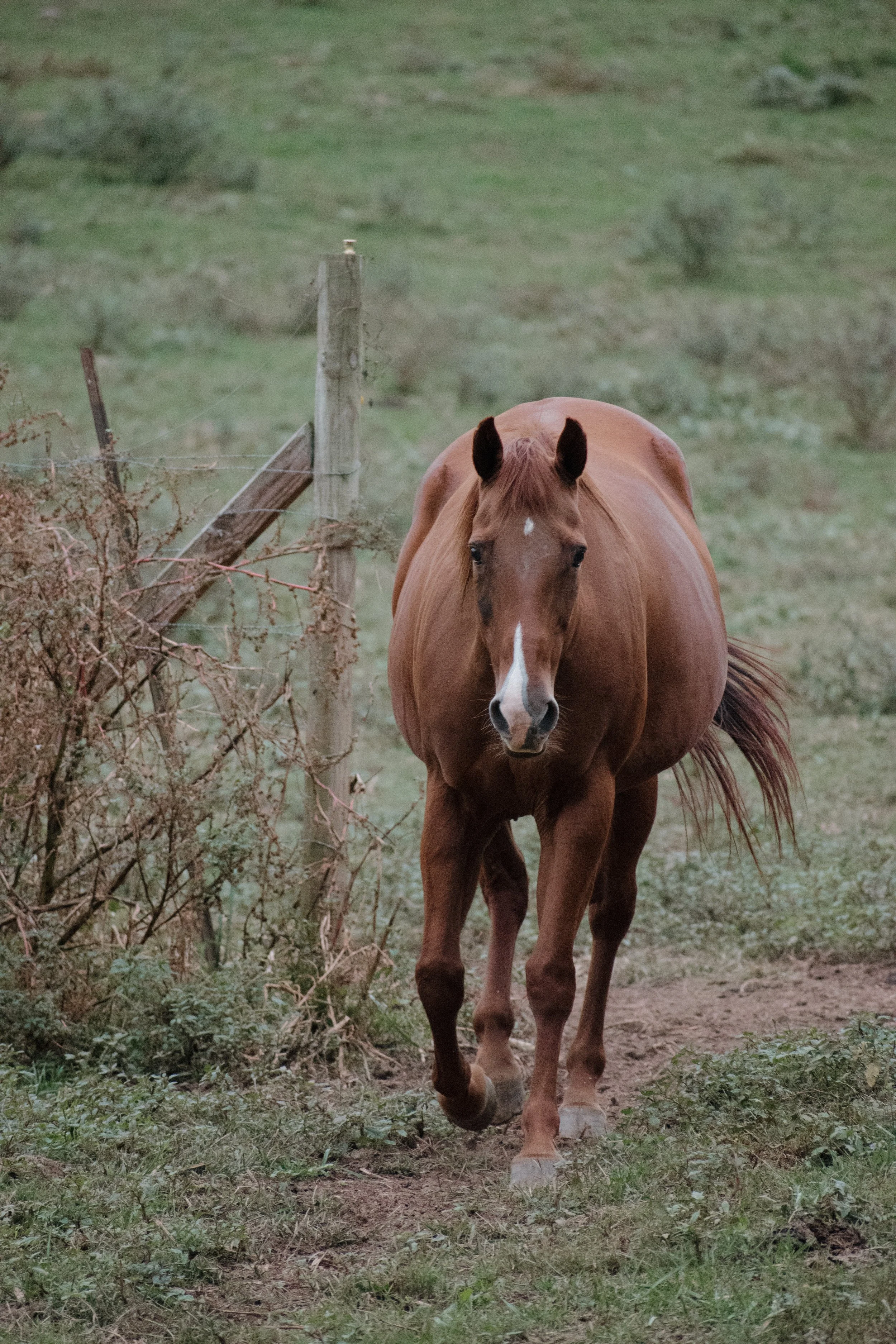 DSC_0971.jpeg