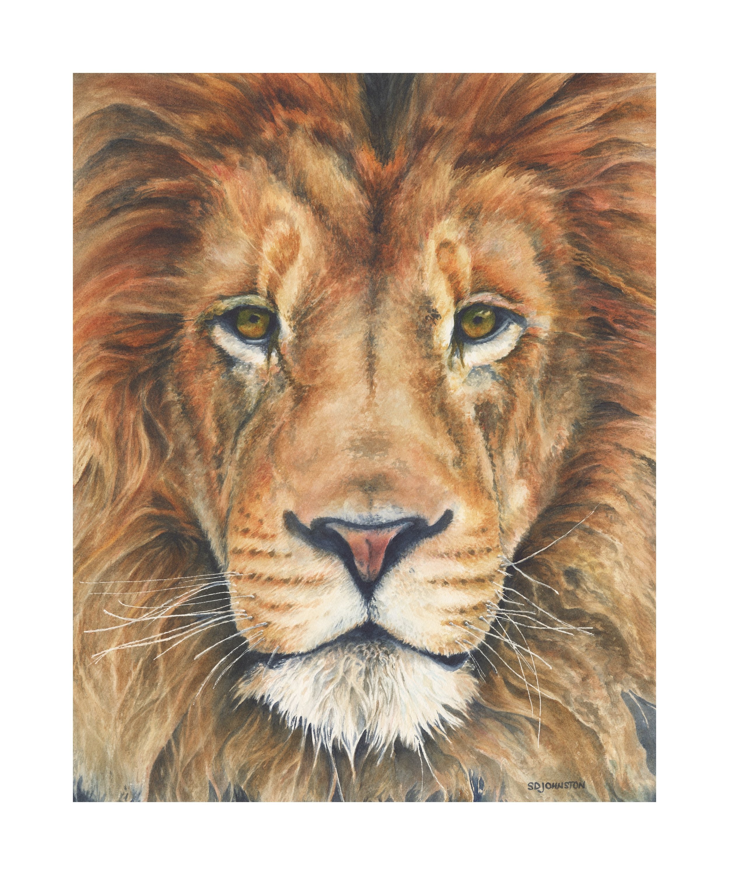 lion wc 8x10.jpg